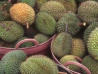 durian, the king of fruits
